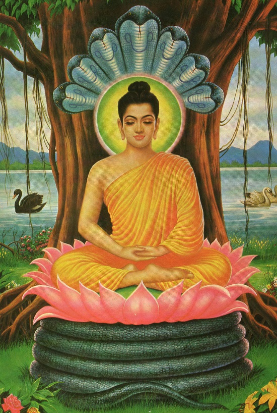 About Lord Buddha The Life Story Of Siddhartha Gautama